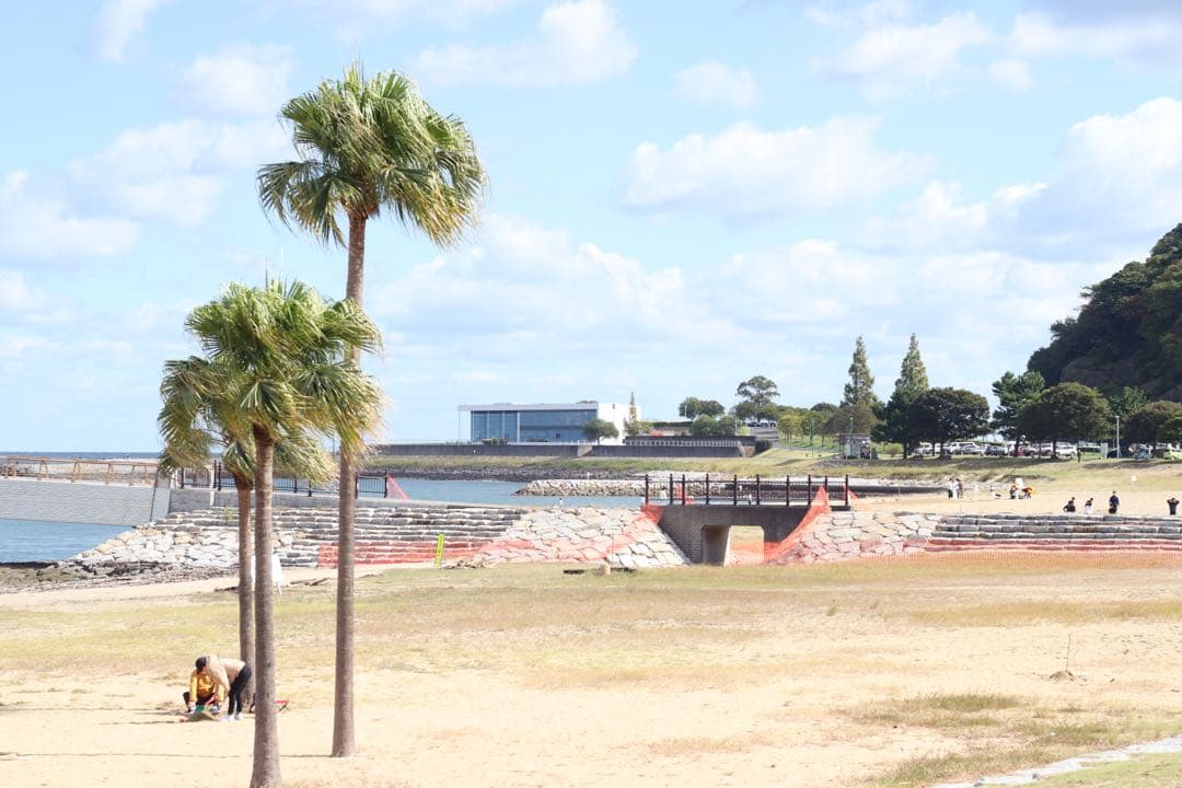 ★ OLYMPUS OM-2N + 標準レンズ 50mm