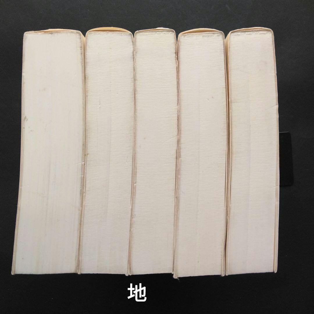 全初版 普及版「地中海」 全五巻 フェルナン・ブローデル 藤原書店 歴史 地理