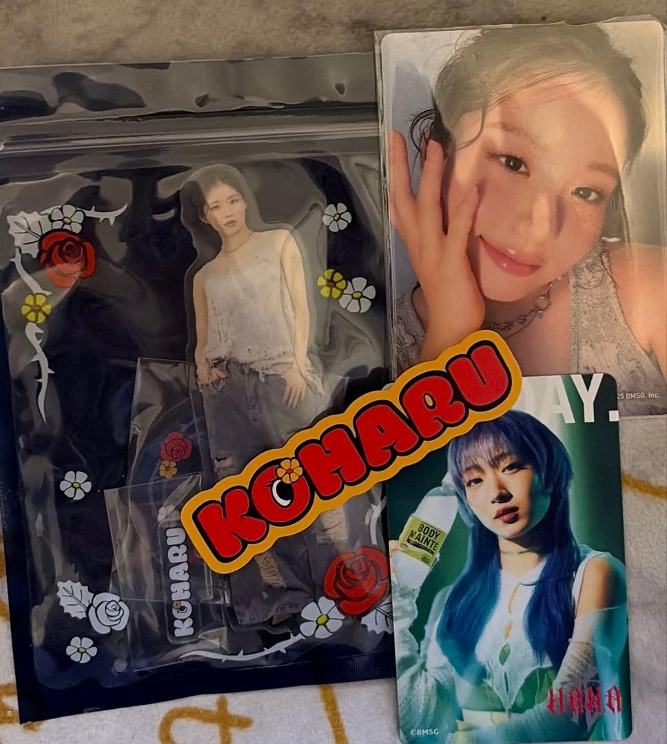 HANA ファンミアクスタ トレカ コハル