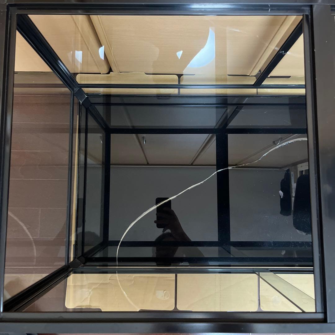 REPTI WILDパンテオン ブラック　BK9045