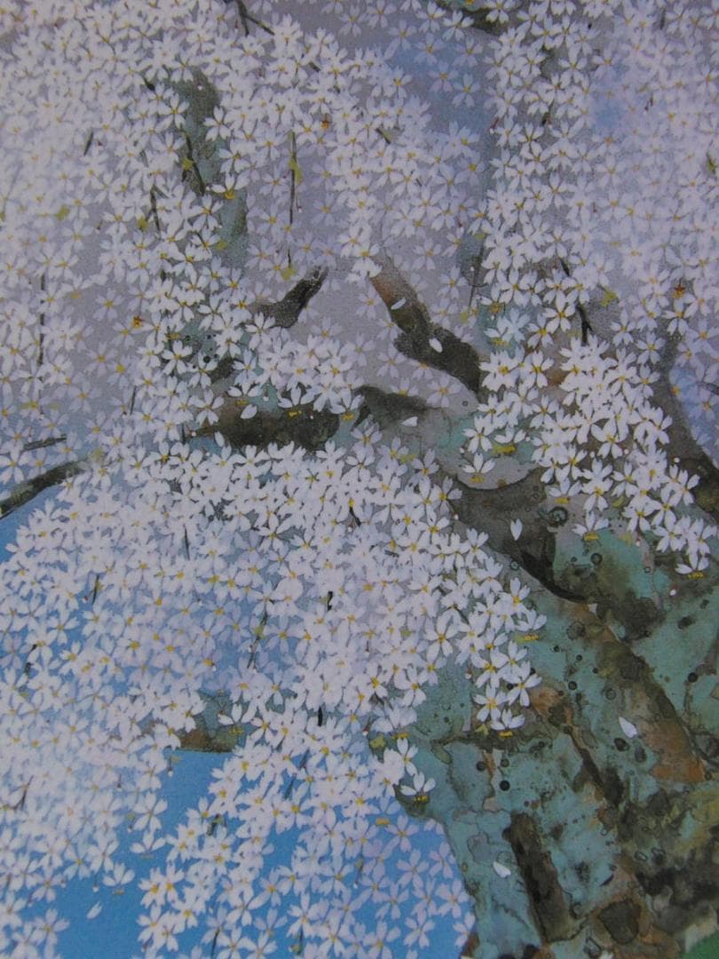 中島千波、【三春櫻花爛漫】、希少な額装用画集より、新品額装付、状態良好