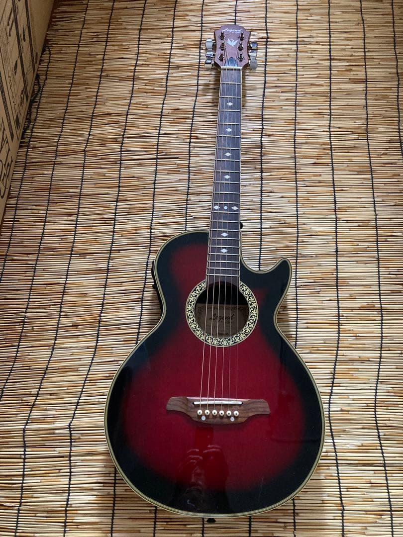 猫*様 ☆新年値下　アクティブコントローラを追加　エレアコ　Legend by