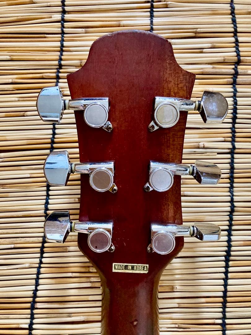 猫*様 ☆新年値下　アクティブコントローラを追加　エレアコ　Legend by