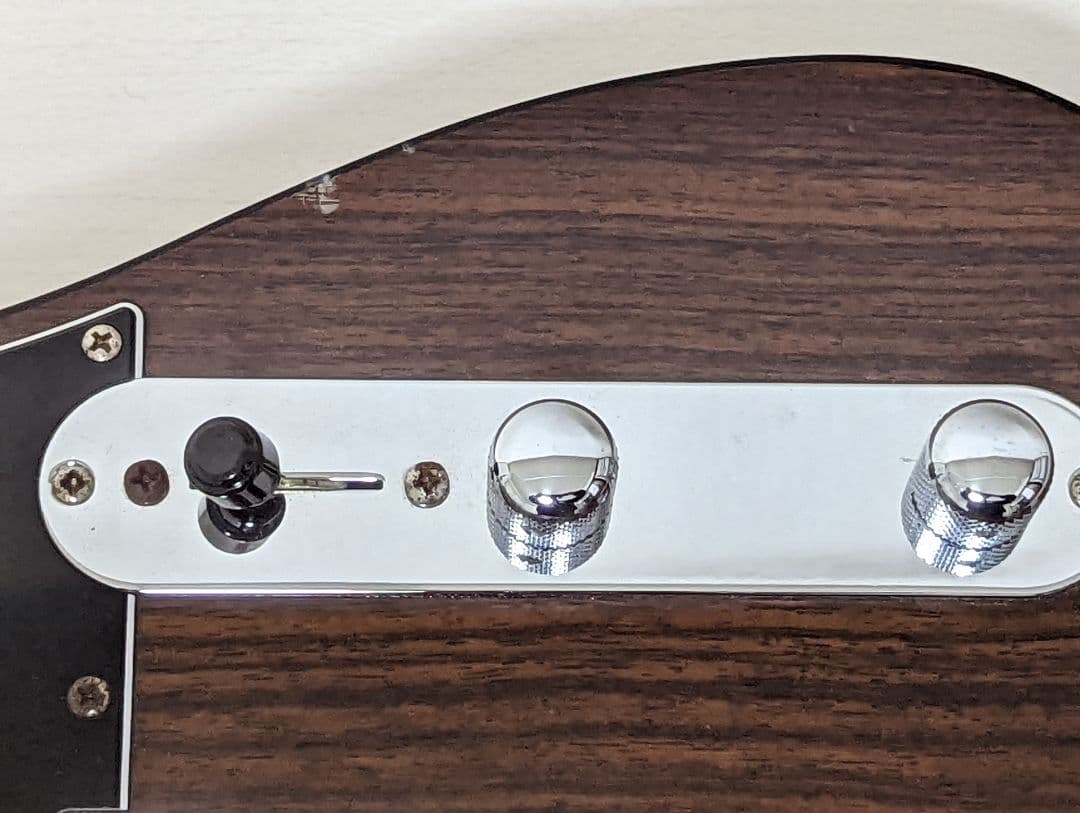 FGN フジゲン テレキャスター