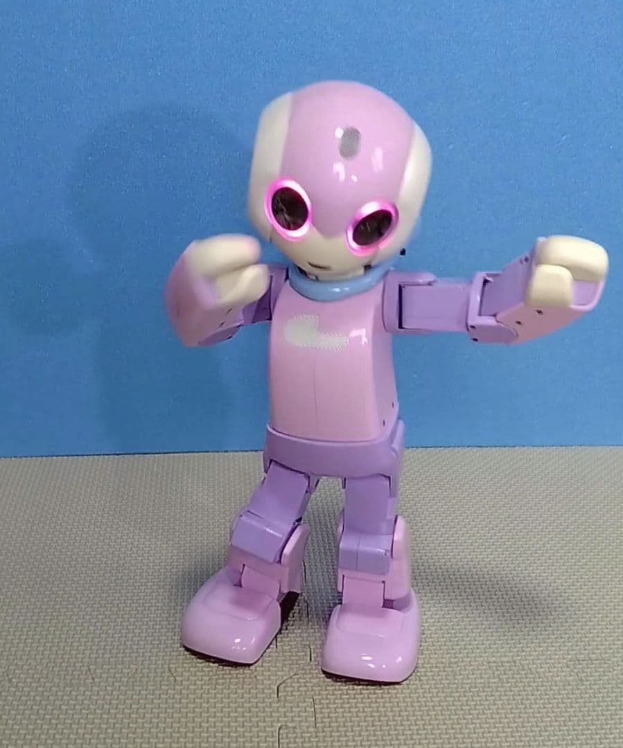 ロビ 全塗装 [ロビの目覚]から起動 フルセット