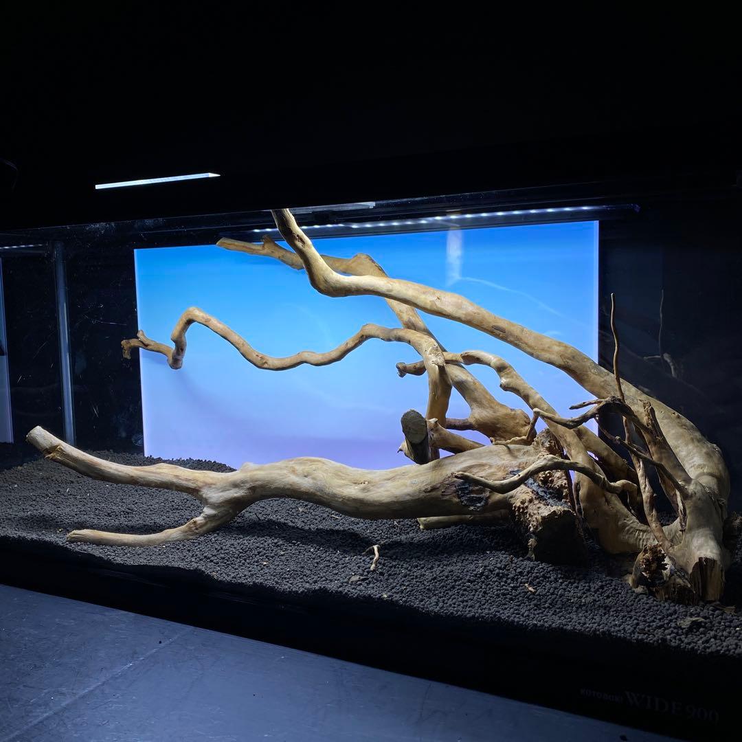 MDW-6431 ブランチウッド3本セット　90cm水槽用流木セット　枝流木