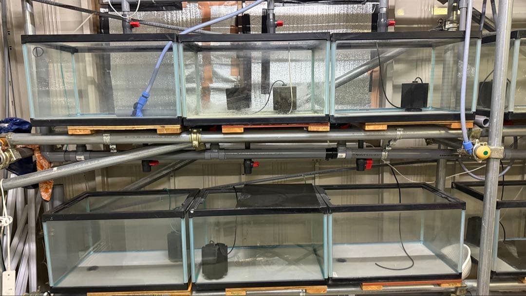 業務用オーダーメイド オーバーフロー水槽 12個セット