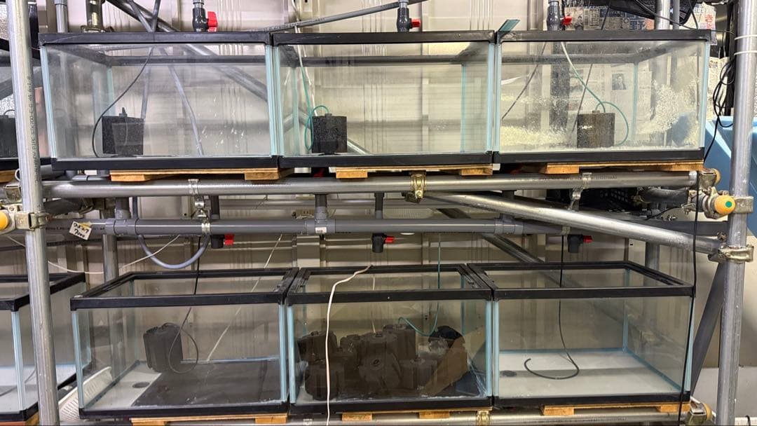 業務用オーダーメイド オーバーフロー水槽 12個セット