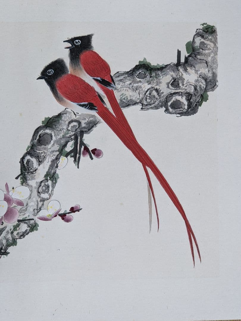 ♦中国 梅花尾長鳥 書画骨董 水墨画 絵画 骨董品 コレクション アンティーク