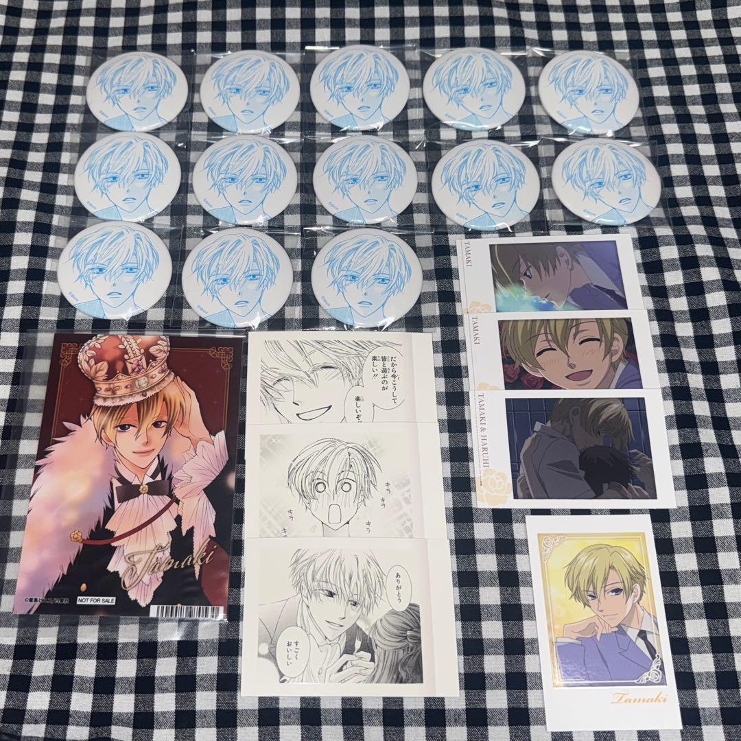 桜蘭高校ホスト部 須王環