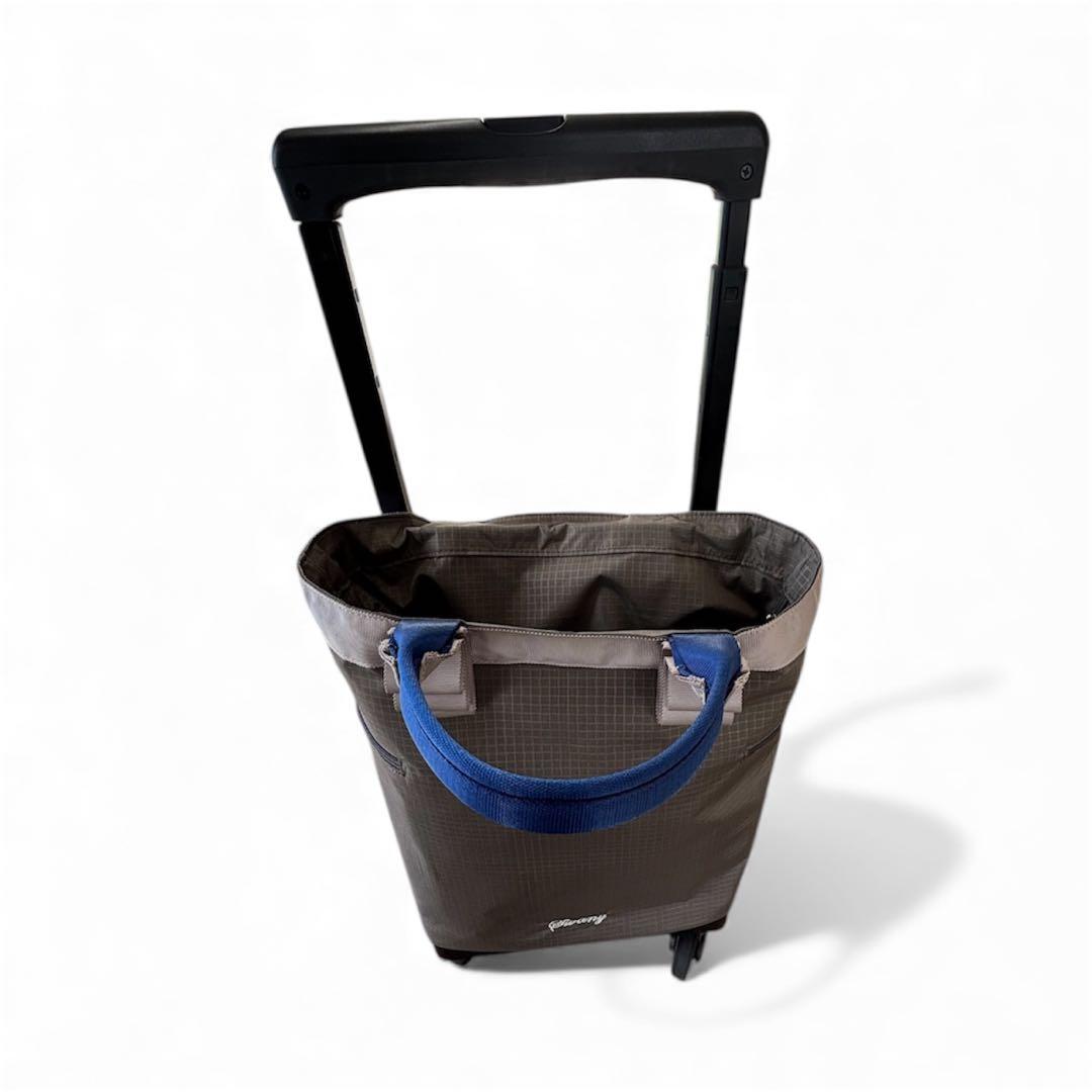 スワニー（SWANY）　キャリーバッグ