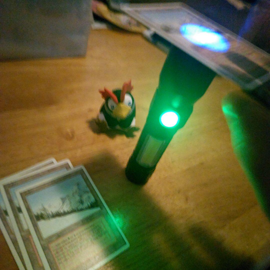 【断捨離】MTG 悲しみのtaiga 4枚