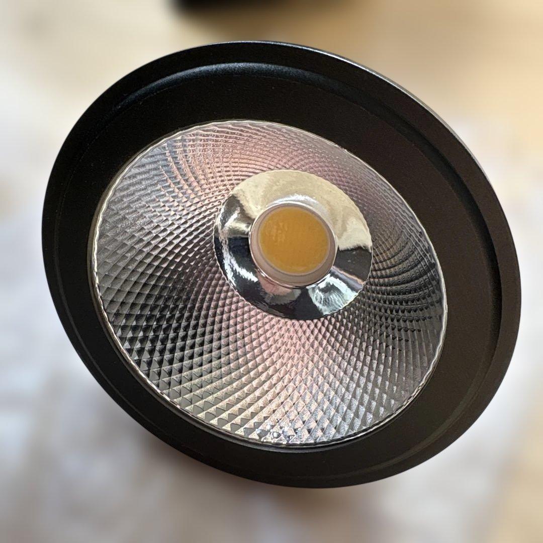 BARREL AMATERAS バレル アマテラス プラントライト 20W