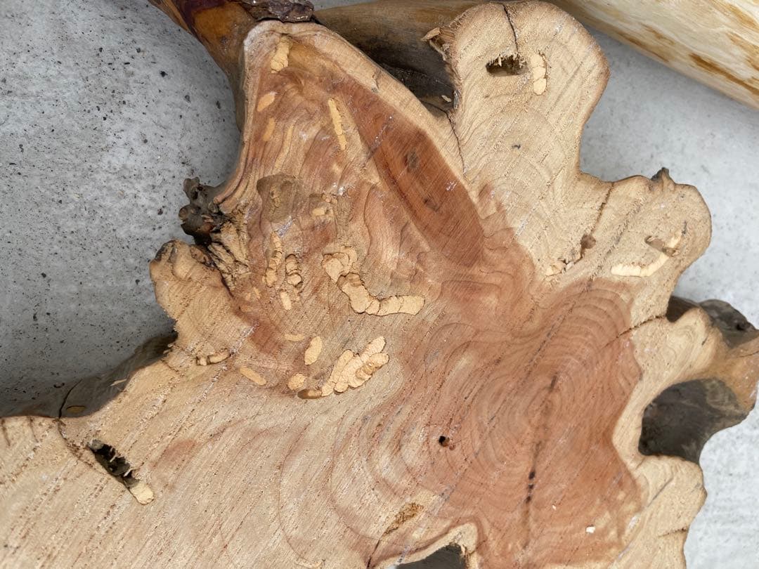 国産ヒノキ　鳥用止まり木　大型スタンド　約147センチ　中型インコ用