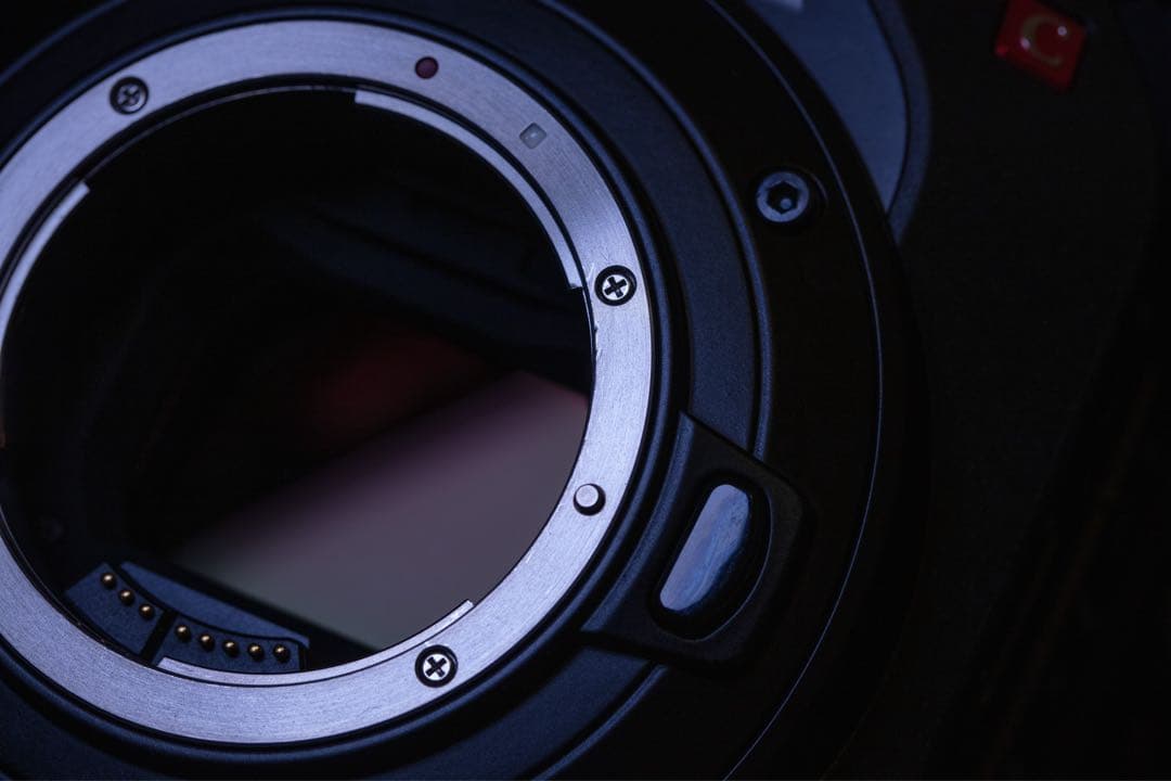 Canon EOS C300 Mark III ボディ（EF）※値下げ中