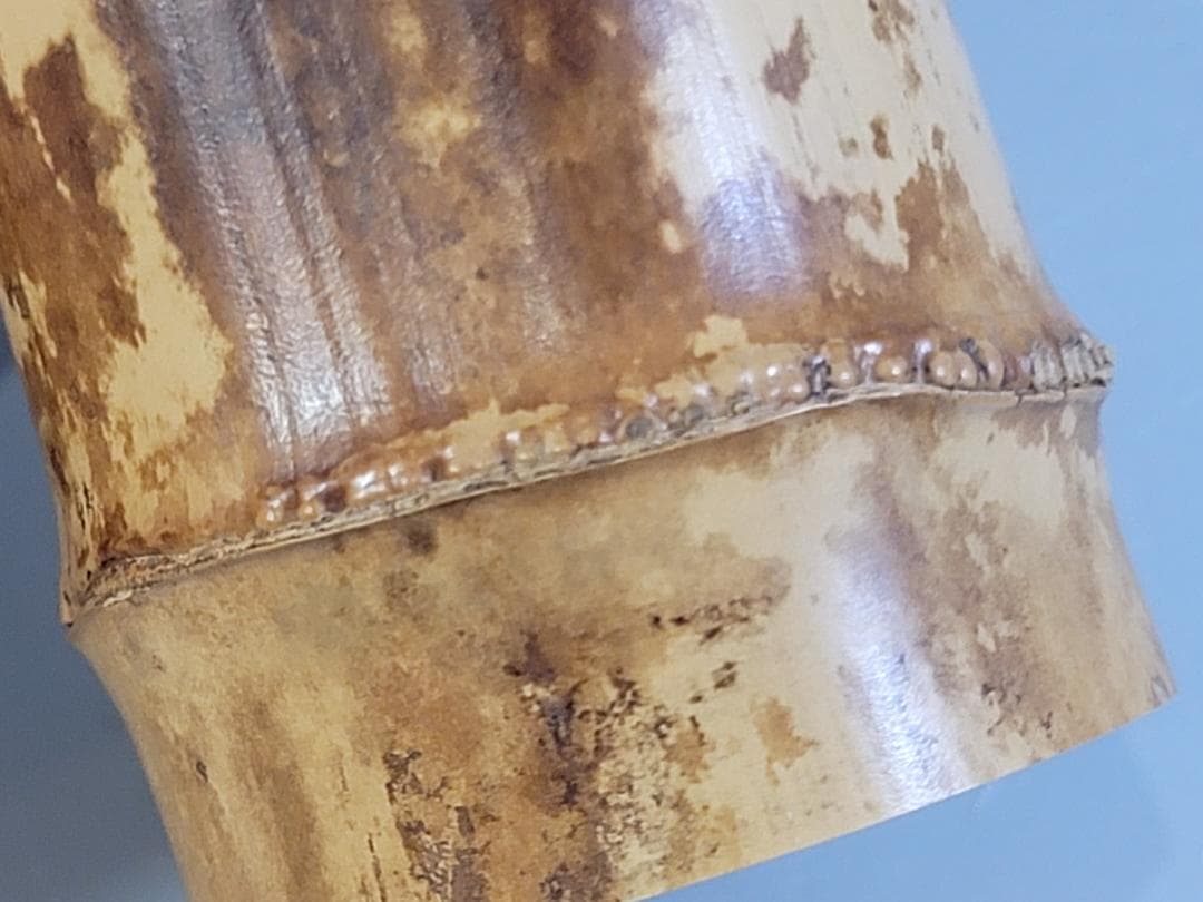 茶道具 竹蓋置 一双 大徳寺 書付 美品 DT474