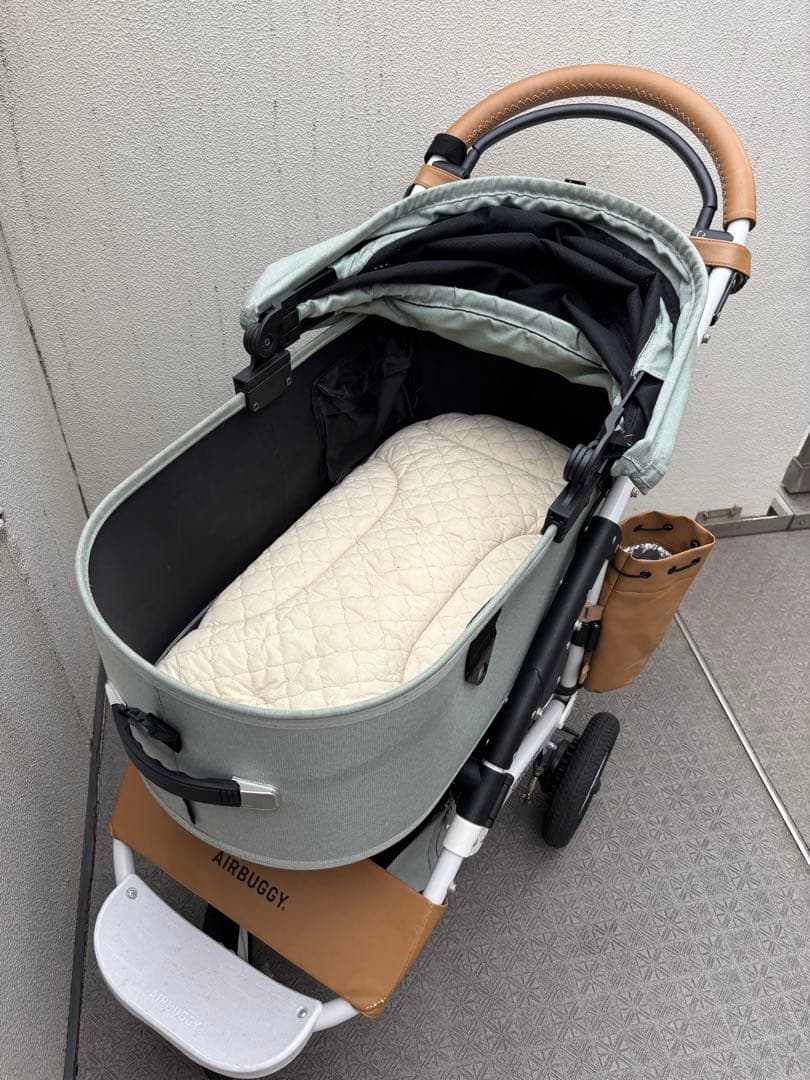 エアバギー グラスグリーン　ラージサイズ　カスタム済み　アクセサリー付き