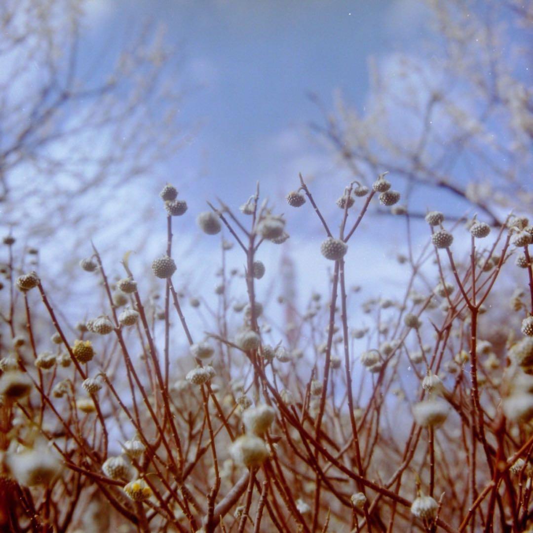 ROLLEI FLEX Planer 3.5f 75mm ローライナー付ジャンク