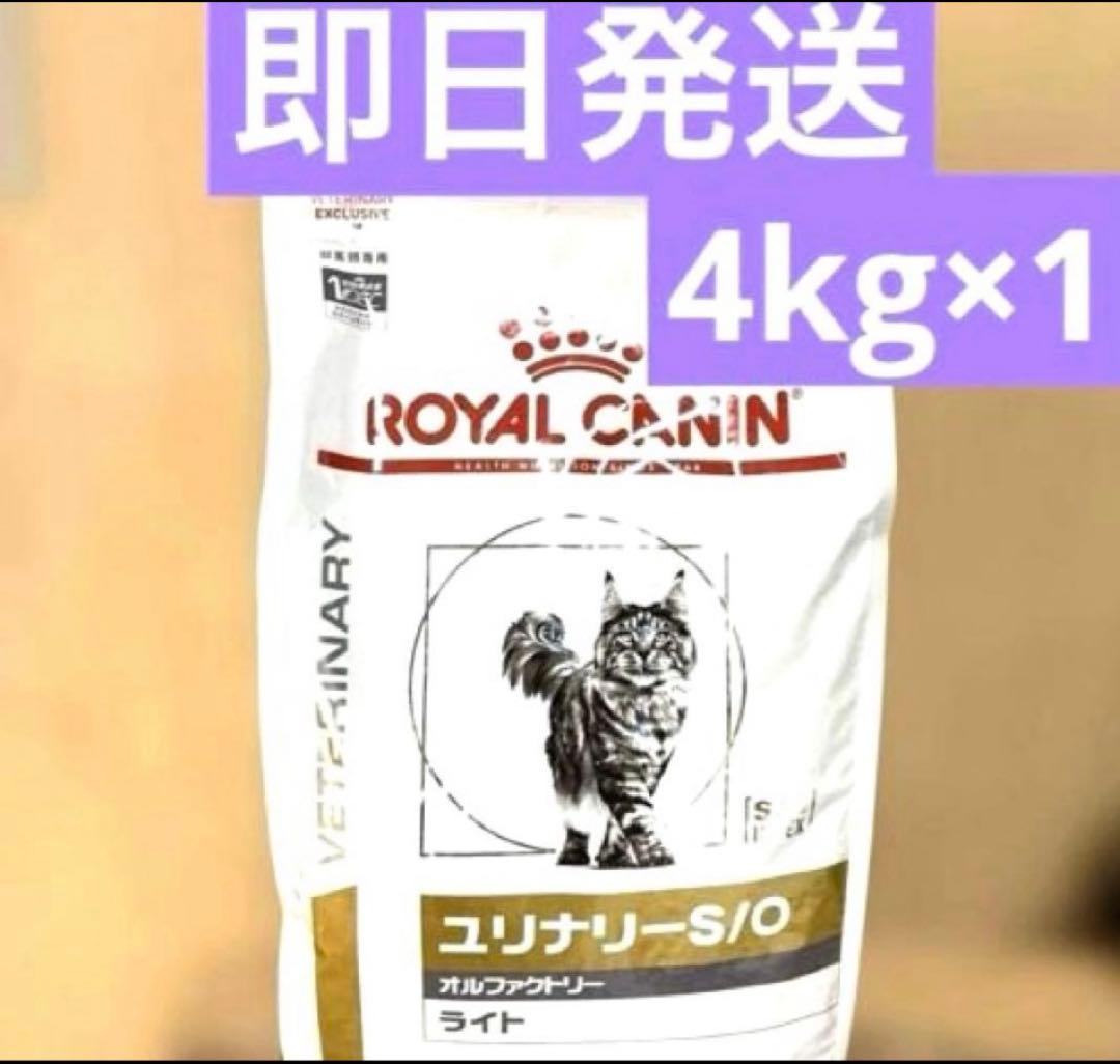 正規品　ロイヤルカナン ユリナリー-S/O オルファクトリー　ライト　4kg