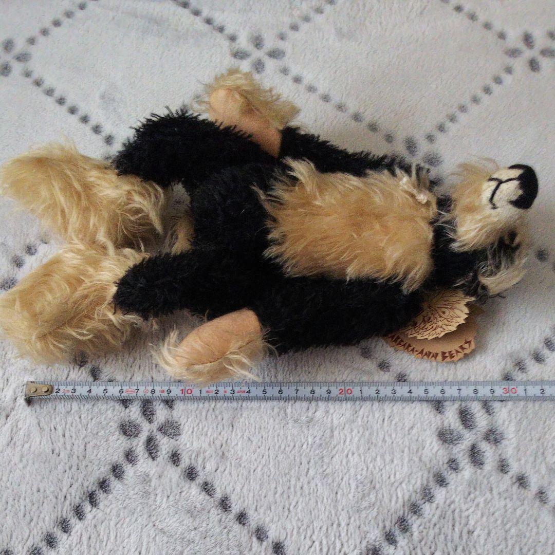 バーバラ・アン・ベアーズ