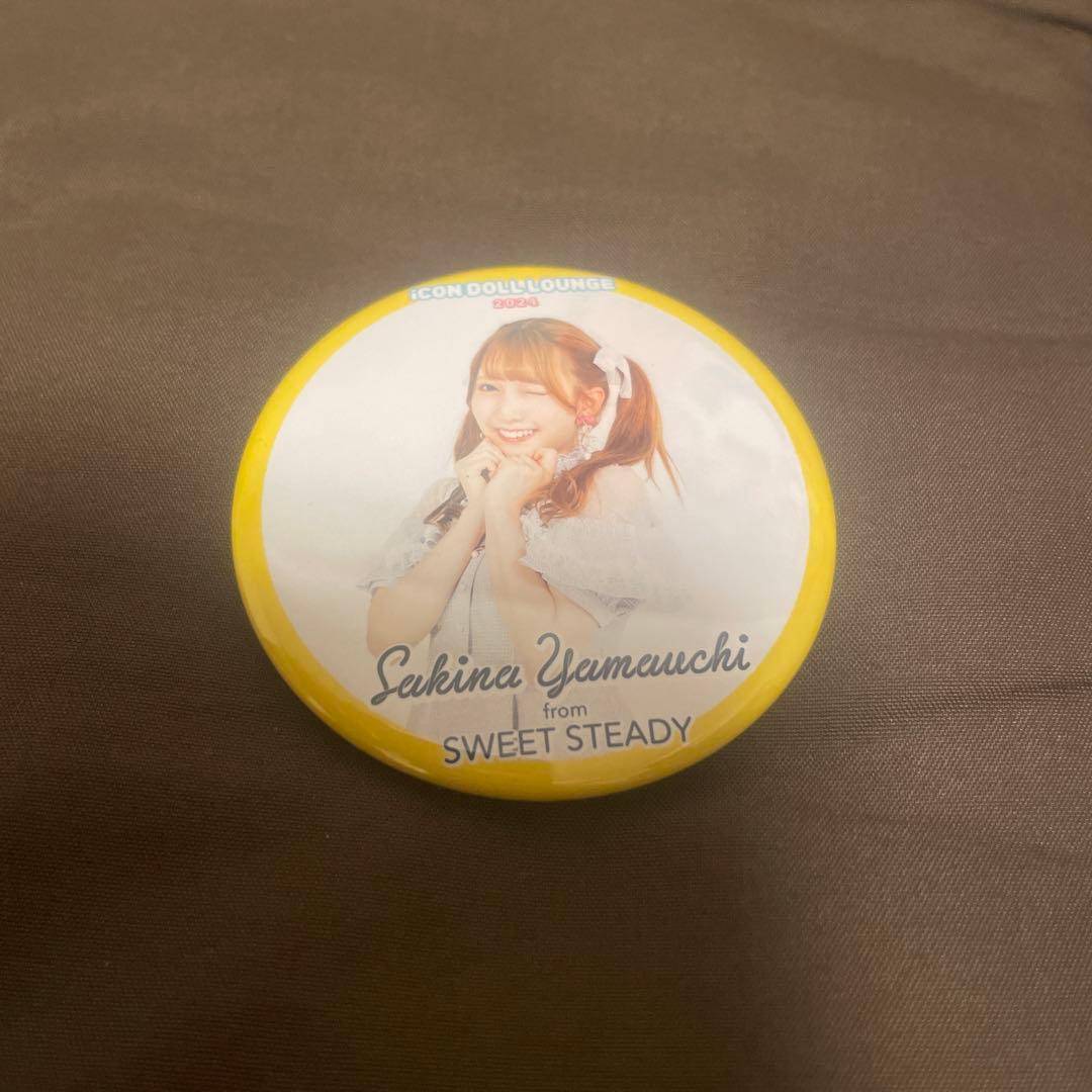 SWEET STEADY iDL ランダムアクキー/缶バッジ/生写真