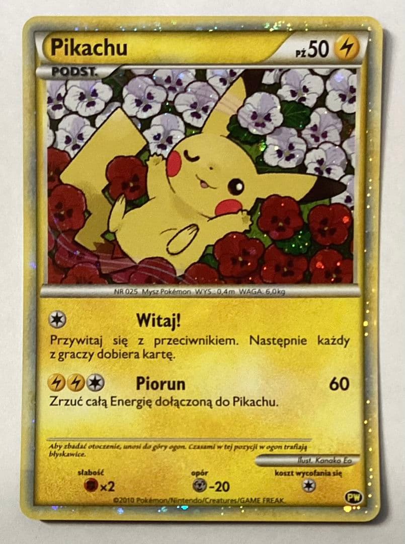 ピカチュウ　ワールド