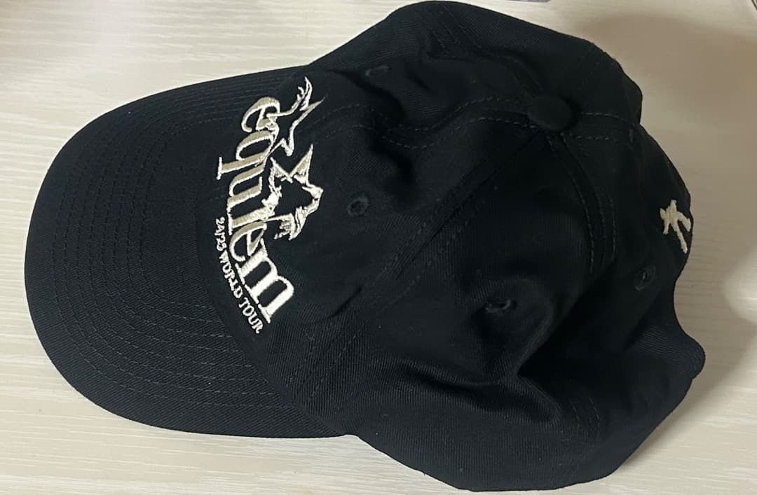 Keshi ケシ ライブ 日本 VIP グッズ アプグレ キーチェーン 帽子