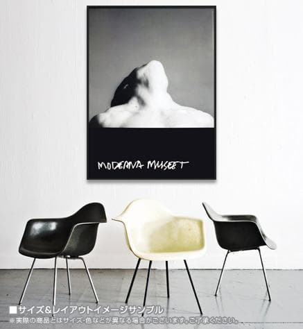 額装済/Lisa Lyon/ロバート メイプルソープ/インテリア/アートポスター