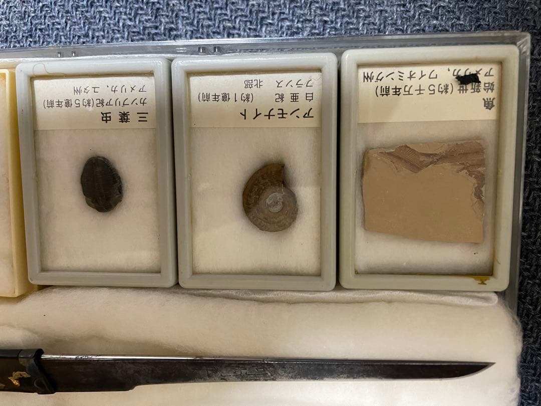 橋さん専用　漆器セット 金箔装飾 と化石