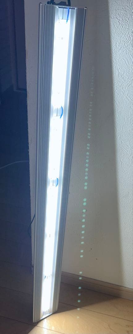 アクロtriangle bright 900 2025/01製