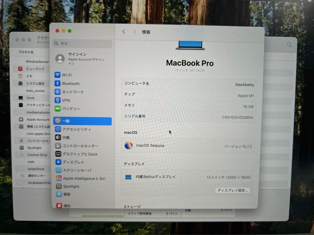 MacBook Pro (Apple M1) 13.3インチ