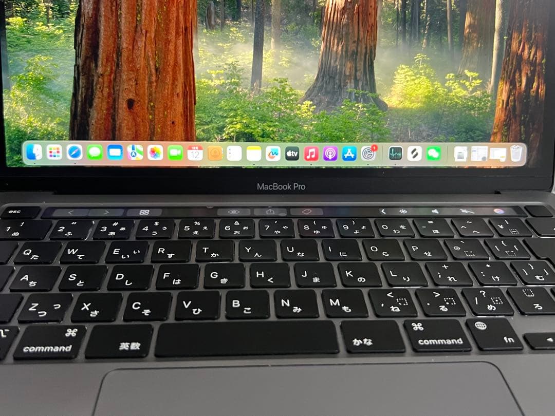 MacBook Pro (Apple M1) 13.3インチ