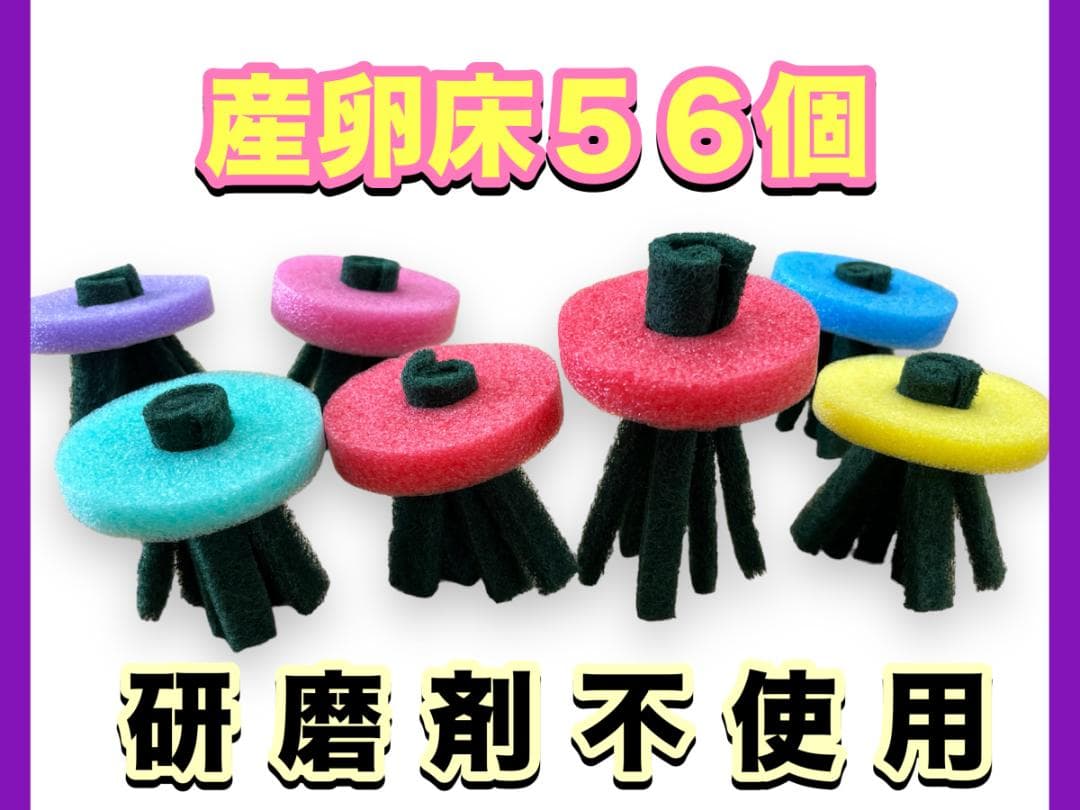 産卵床56個×５セット　280個まとめ売りロング　☆ジャンボ大福出品☆