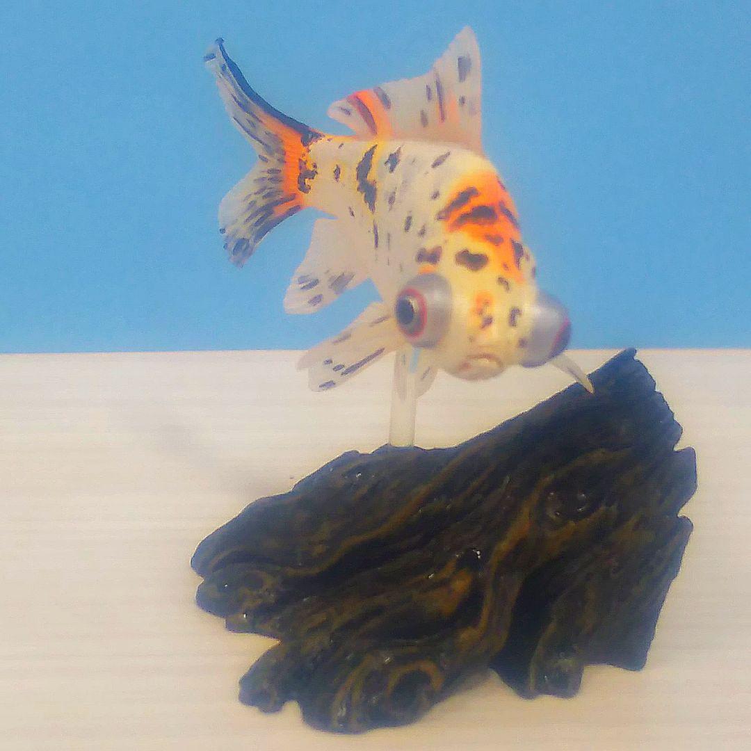 ヤナギデメキン 原色鑑賞魚図鑑 シークレット