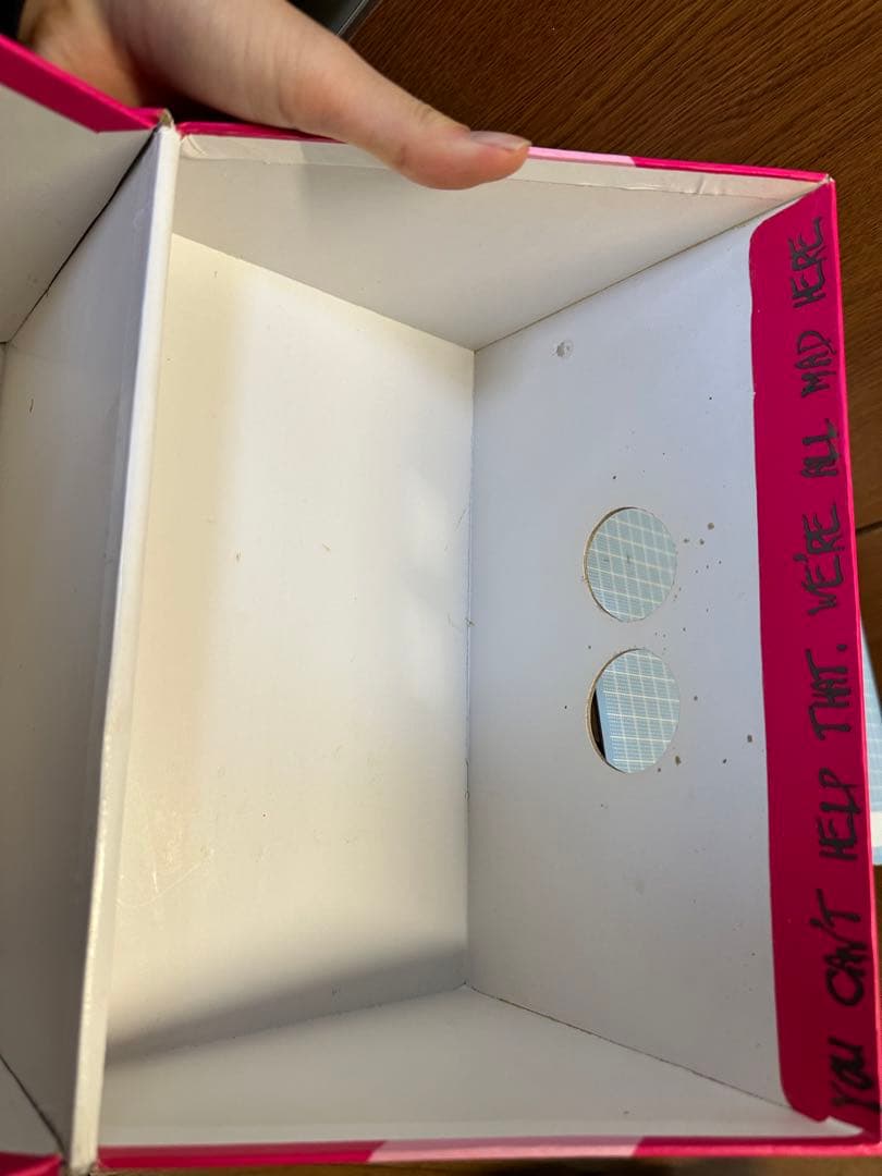 ディズニー　 不思議の国のアリス　チェシャ猫　300体限定　ソフビフィギュア