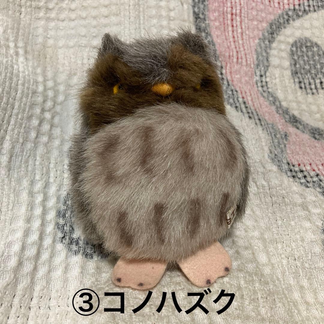 やまね工房　ぬいぐるみ　落合けいこ　6こセット　中古品　コノハズク他　おまけ付き