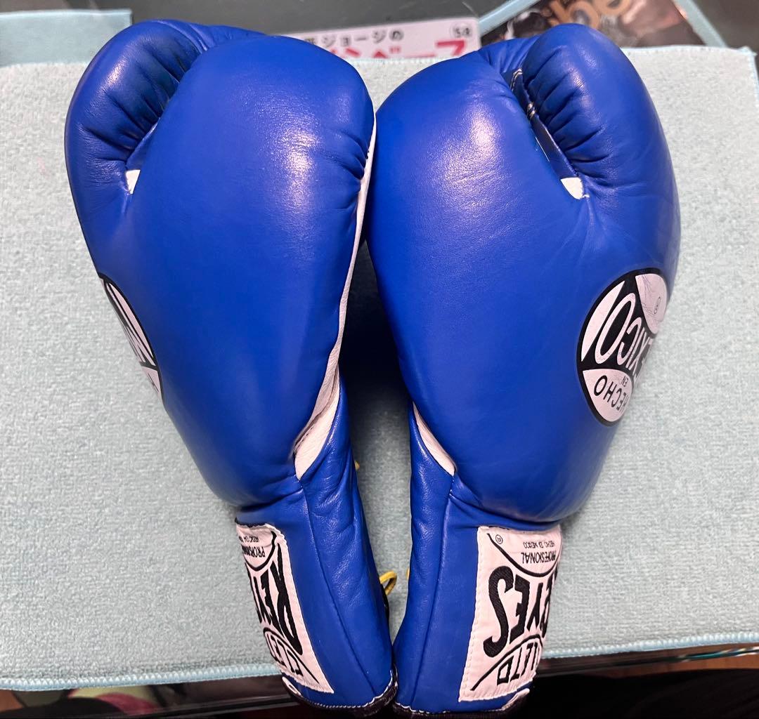 ボクシング Reyes Boxing Gloves 8oz