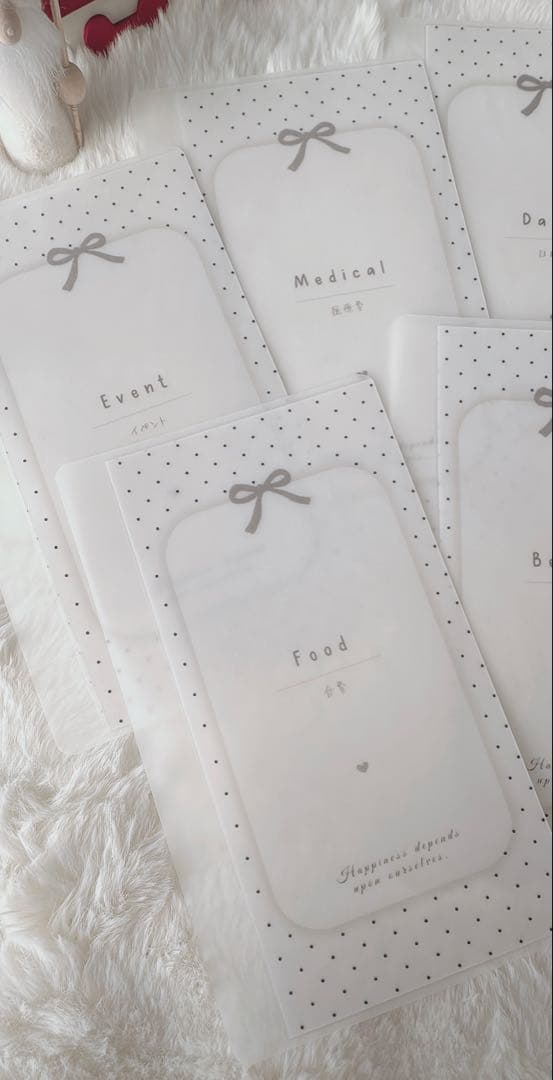 A6リフィル ドットリボン 項目別5枚セット 1650円