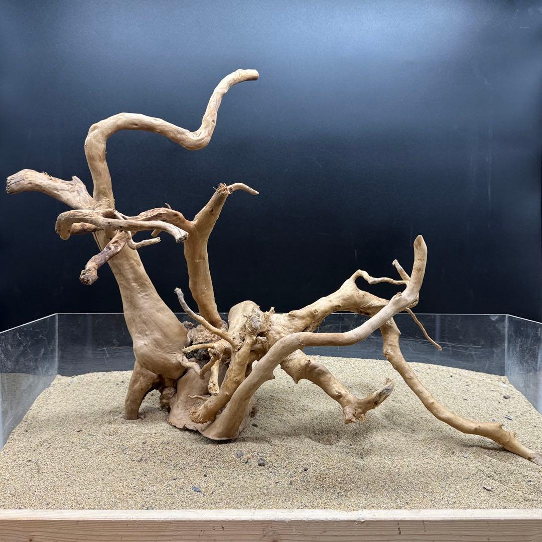 MDW-7164 ブランチウッド2本セット　流木　枝流木　アクアリウム