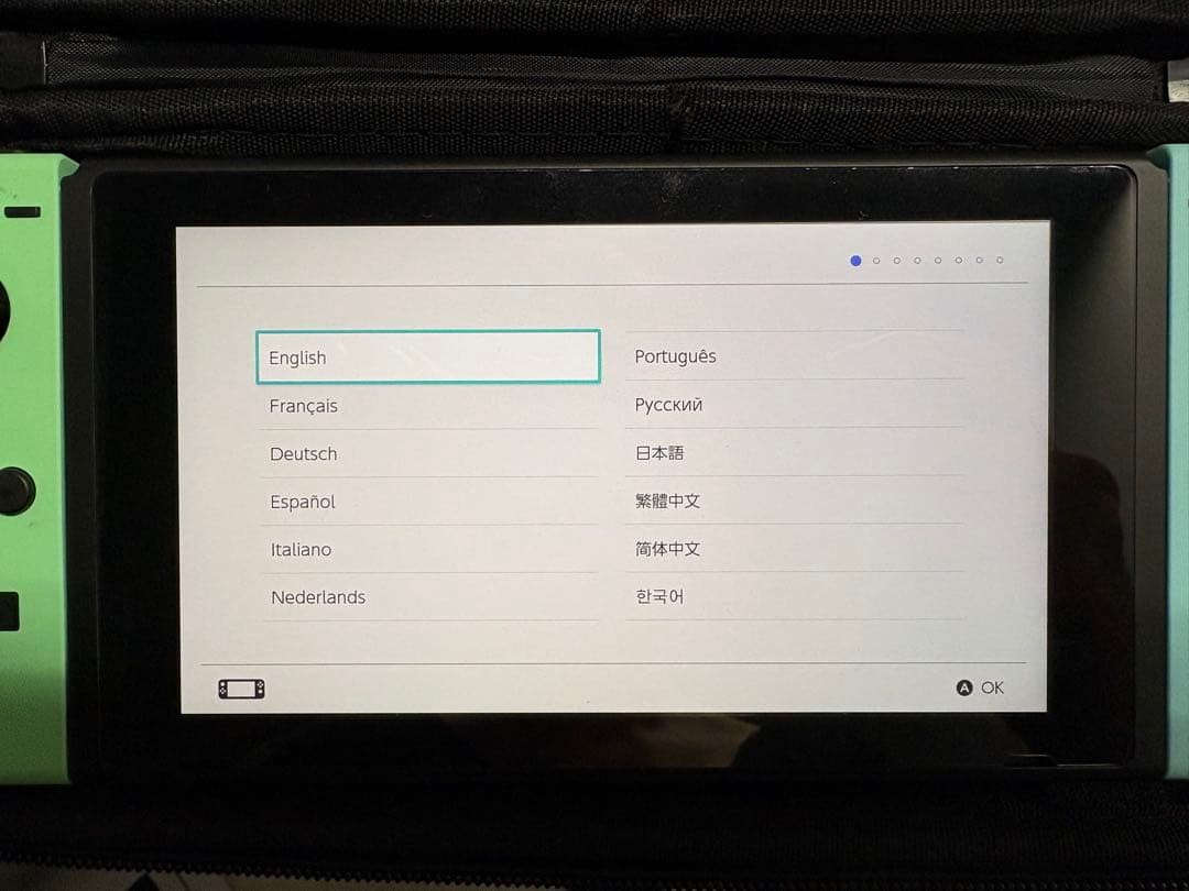 ぎ*に様 Nintendo Switch 本体 あつまれ どうぶつの森セット