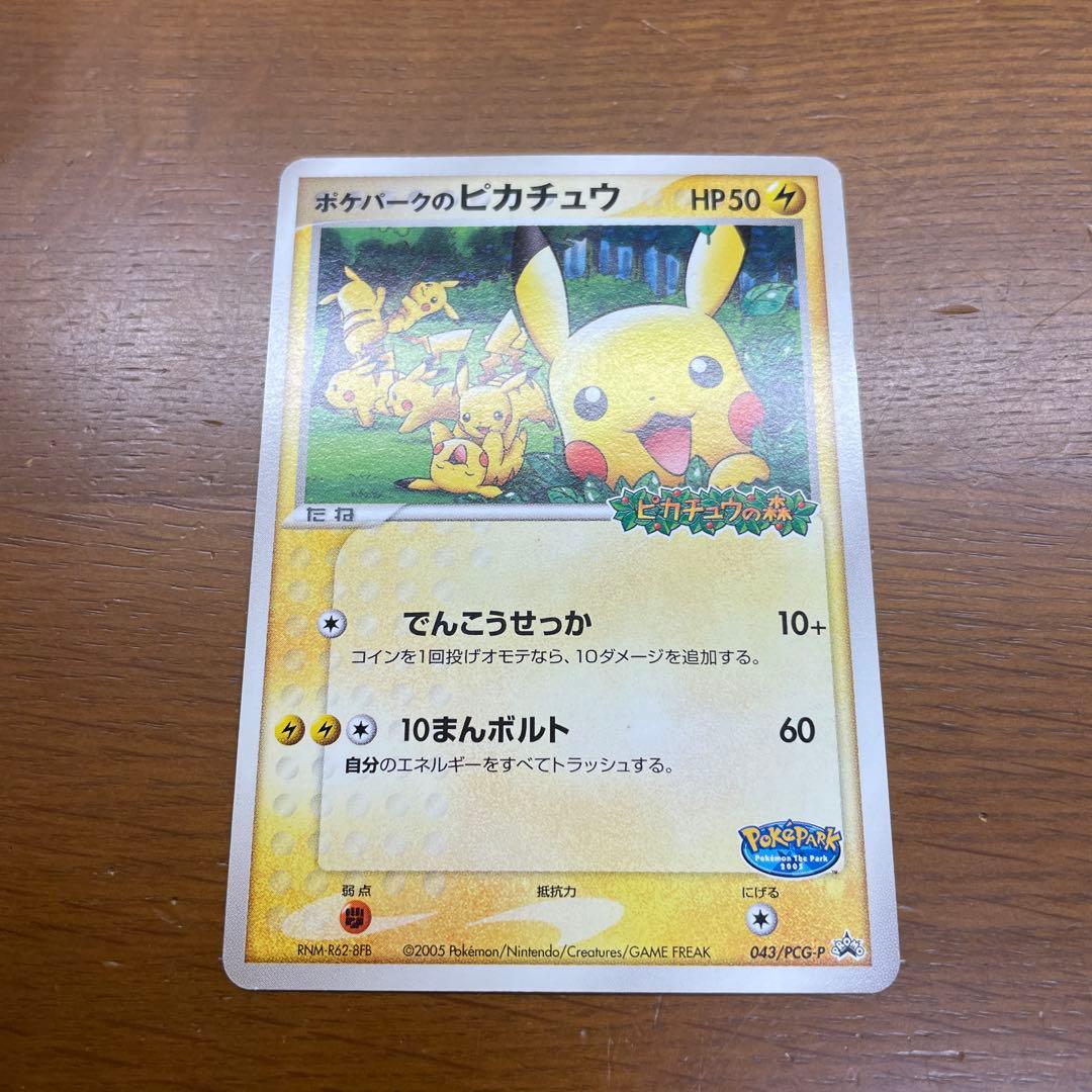 ポケパークのピカチュウ ピカチュウの森