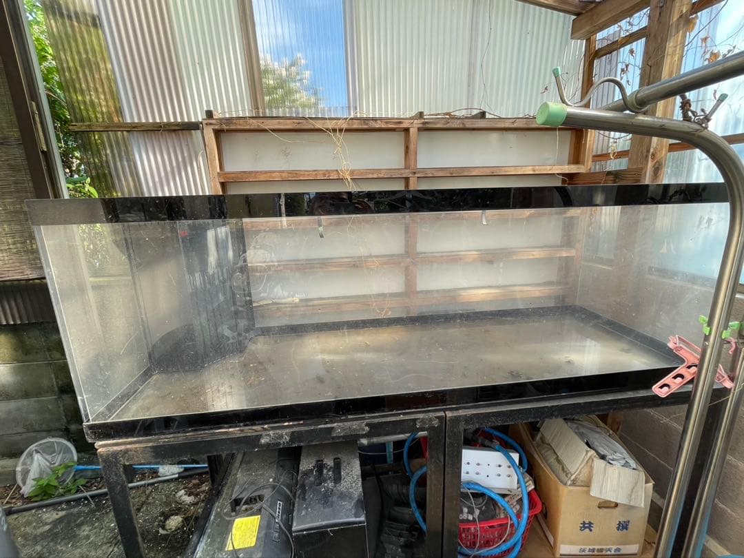 大型アクリル水槽 透明・黒フレーム