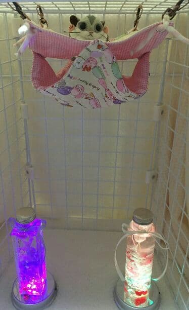 モモンガハウス(パンダマカロン柄Ver.2)   春(夏)秋仕様  1900円