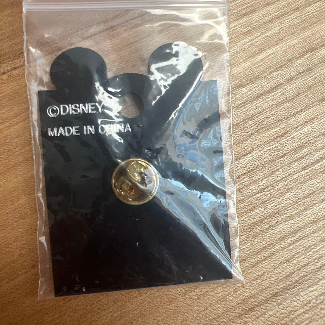 wdw ディズニー　無人島　キャスタウェイ　ピンバッジ