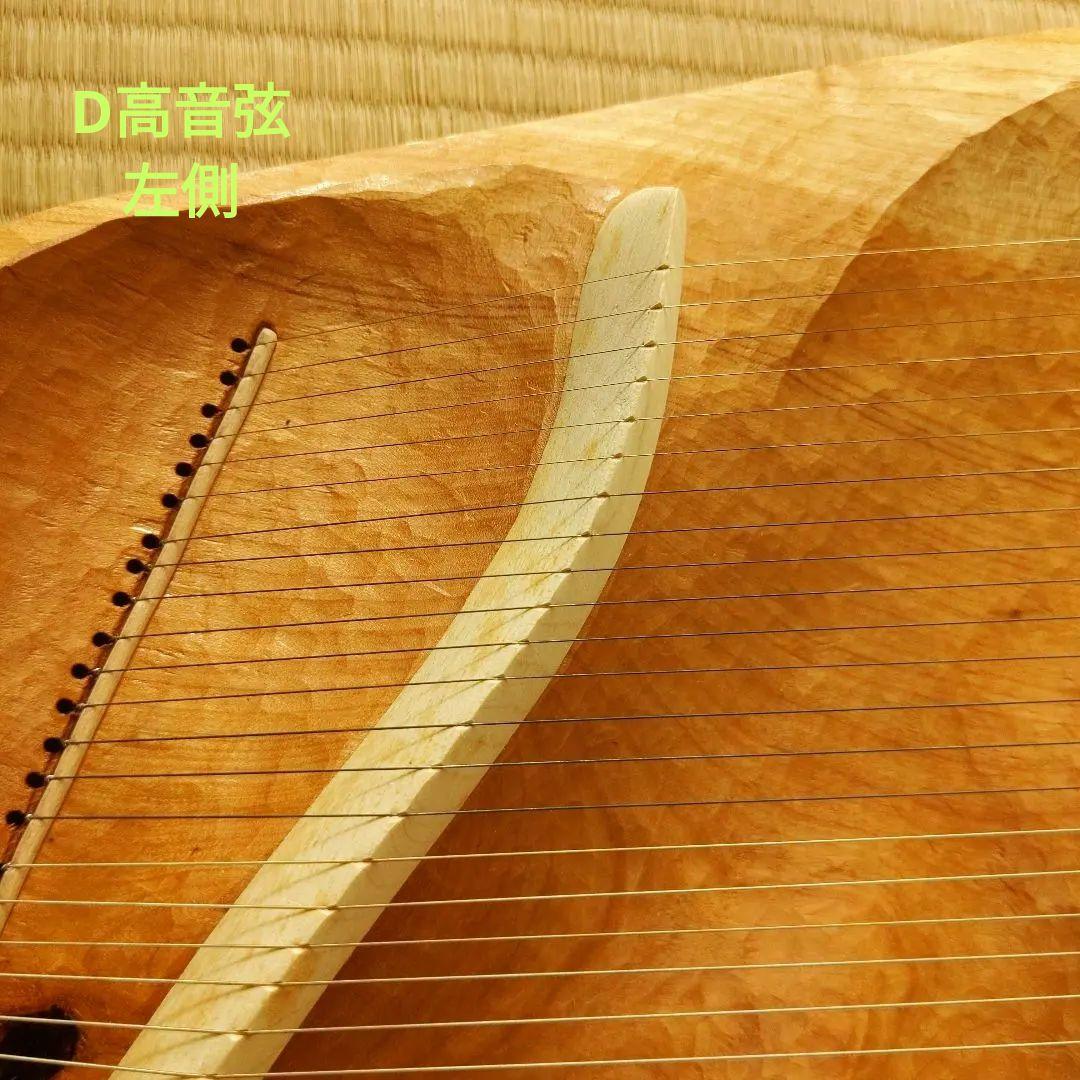 タオライアー 専用ケース付き 2014年製