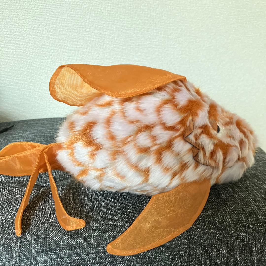  気難しいオレンジの魚