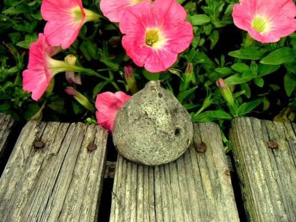 ♥１７世紀　江戸初期　古唐津　水滴 　陶片　骨董　古玩