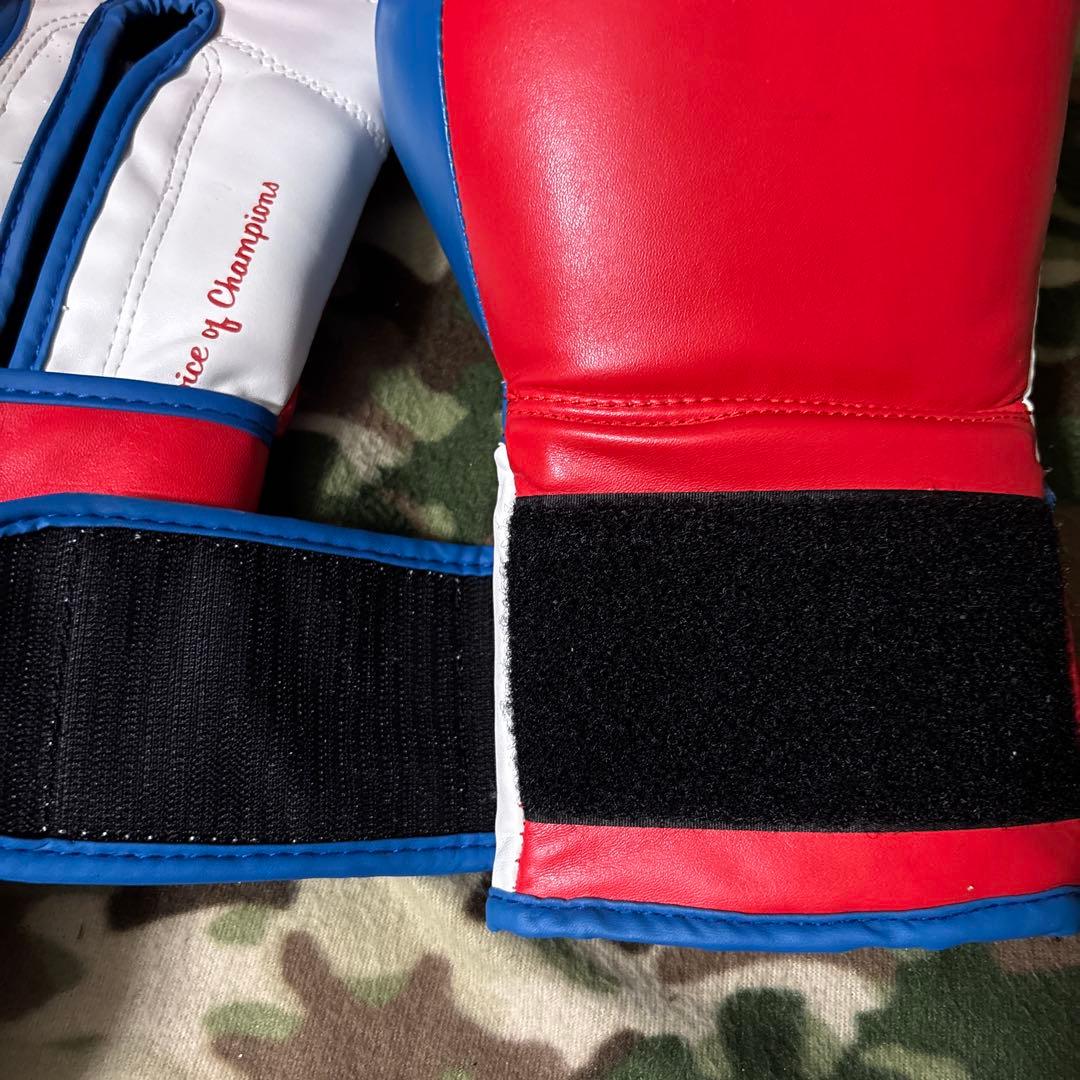 EVER LAST エバーラスト　グローブ　14oz 送料無料