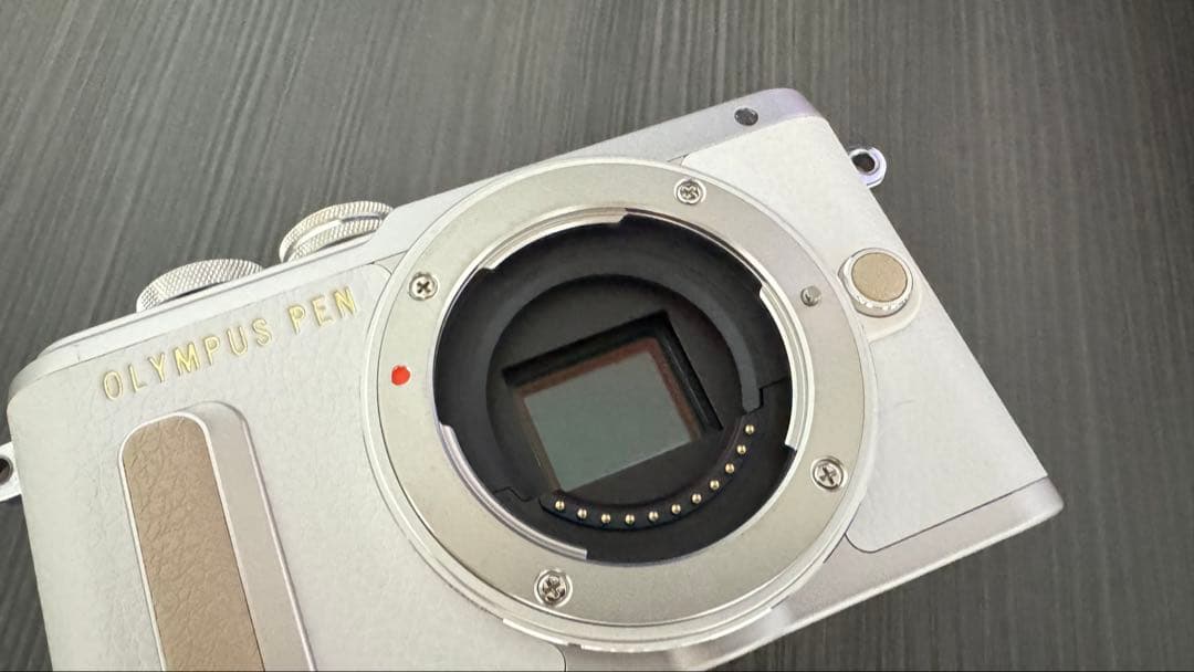 OLYMPUS PEN E-PL8 シルバー & M.ZUIKO25mmF1.8