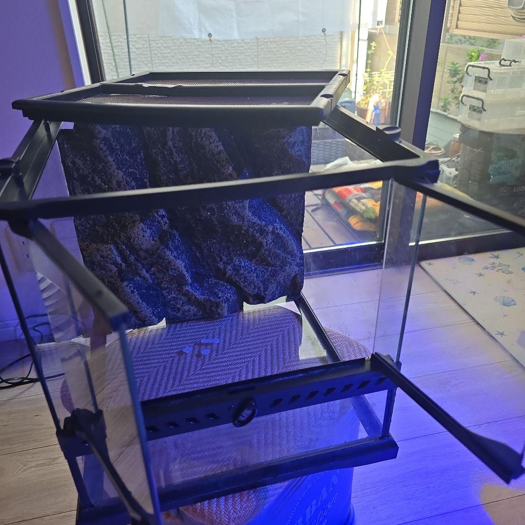 抹茶ラテエキゾテラ3030グラステラリウムメッシュフタ保温球付きほぼ